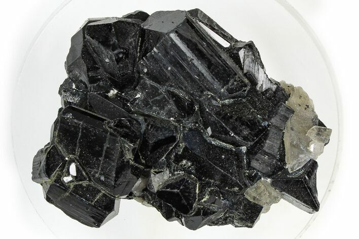 Black Tourmaline (Schorl) Crystalsl with Smoky Quartz - Namibia #373632